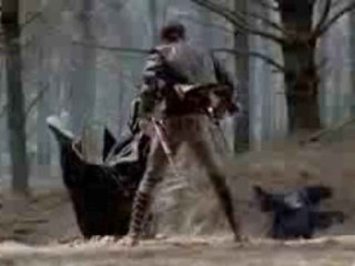 Legend of the Seeker - Episode 9 - Puppeter