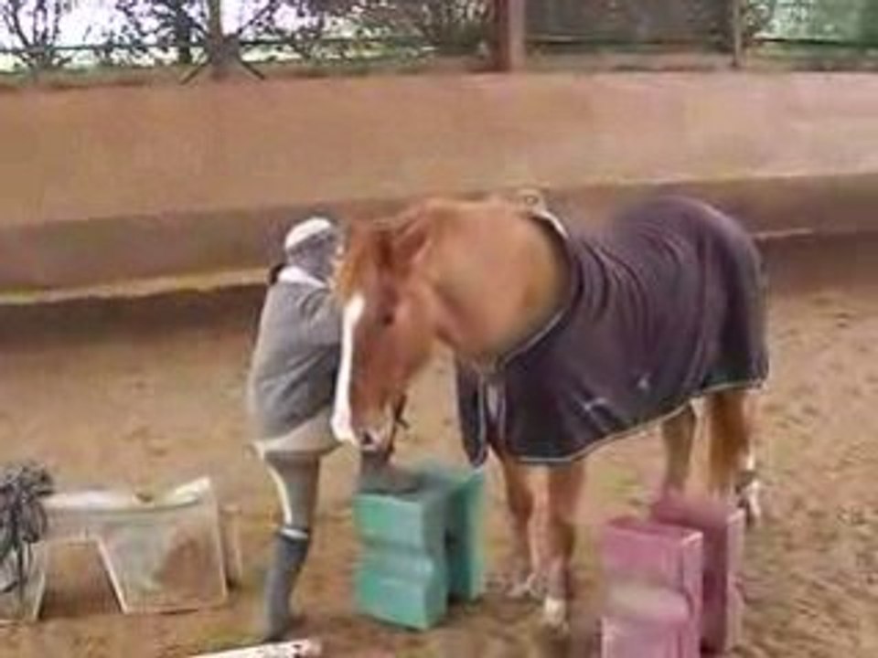 défi montoir