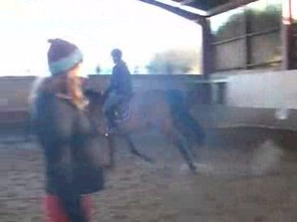 Maurice double 1