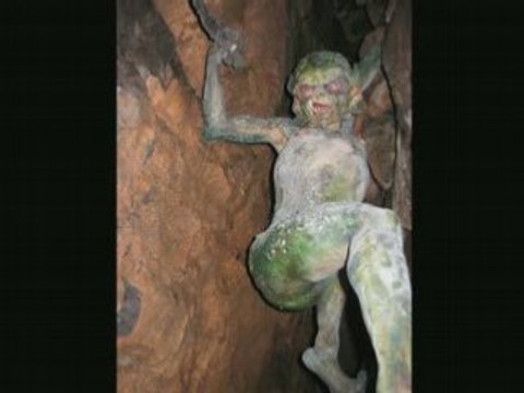 9s11 fantomes elfes témoins