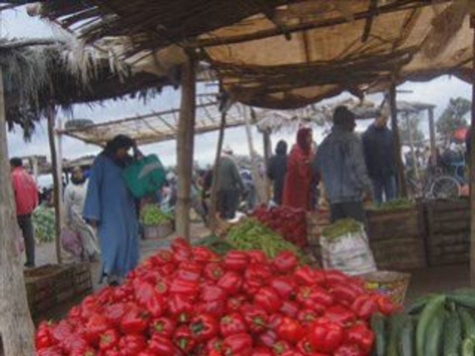 oujda marché
