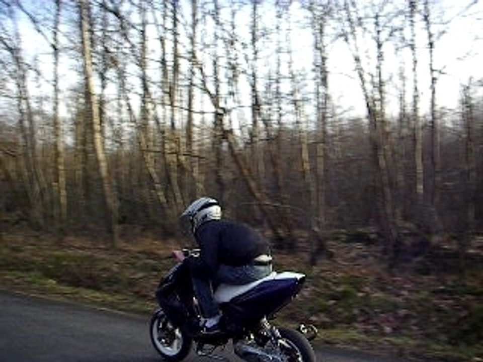 Nitro évo purple
