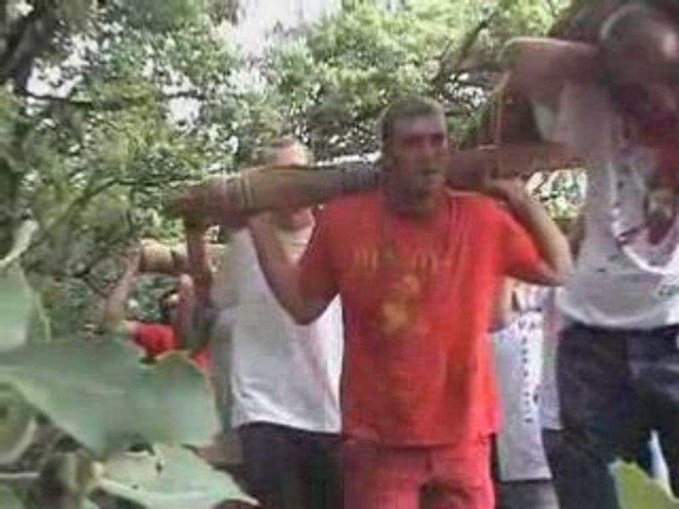 Montée de l'arbre de mai à la chapelle - Varages 2007