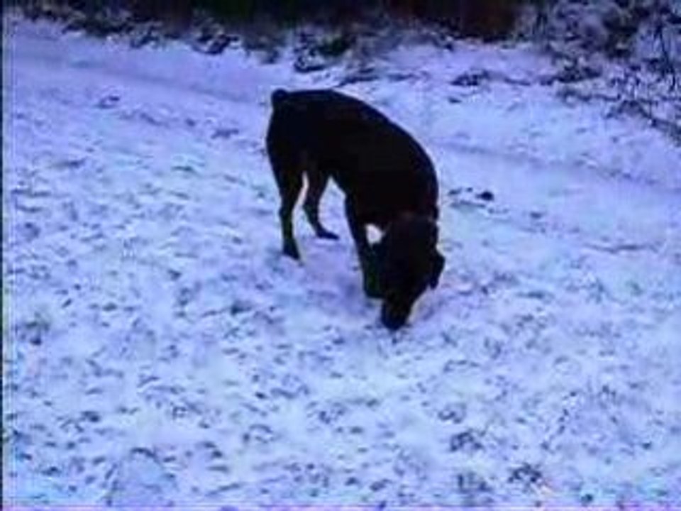 atlas dans le pilat