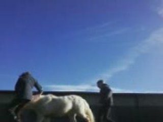 Trop bonne journée 041