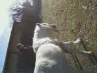 Trop bonne journée 042