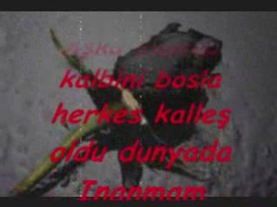 Sevgi dedigin bu mu ?