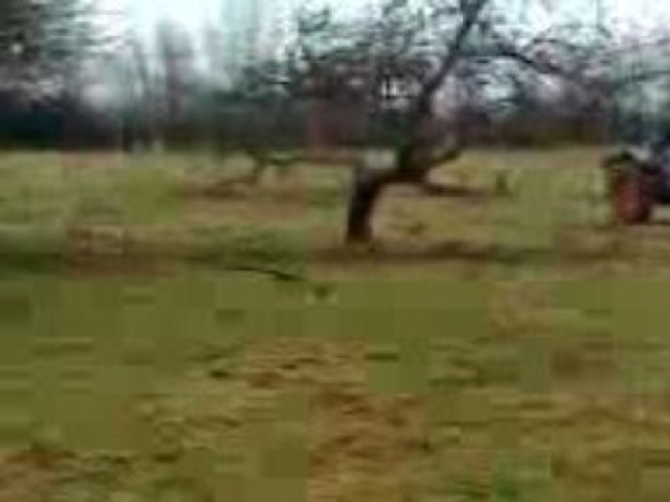 un Deucht de 44 Ans (jeune au volant)