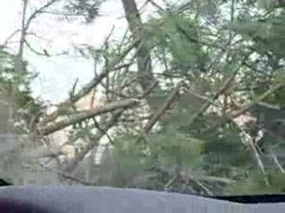 Parentis en Born après la Tempête 2