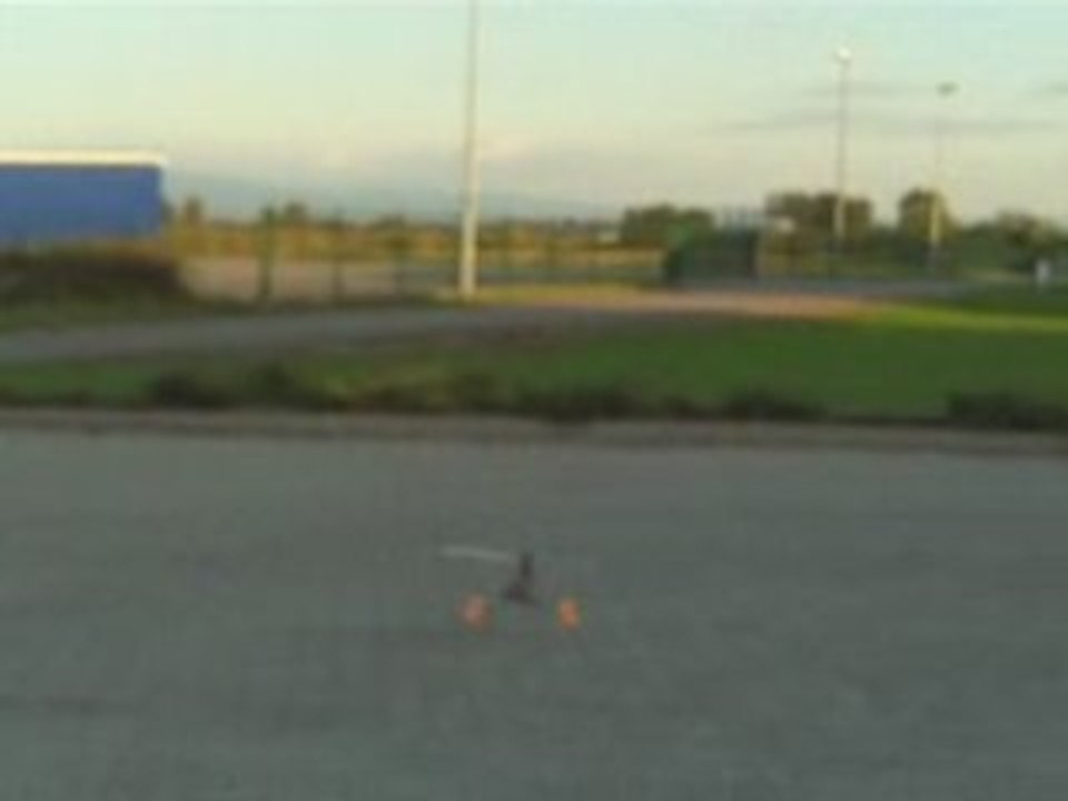 Divers honey bee king 2