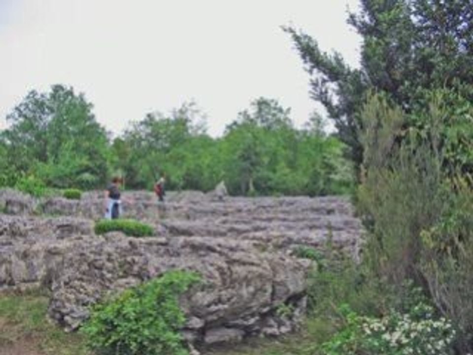 LE SENTIER NATURE DE NEBIAS