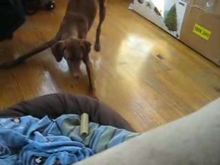 Vanquishing the Jumbone Foe