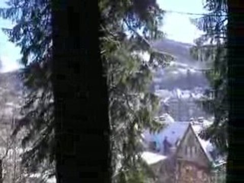 La Bourboule: Balade dans les bois