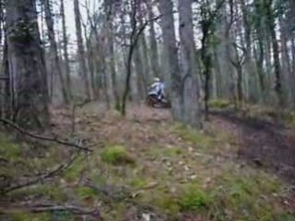 Cession forêt
