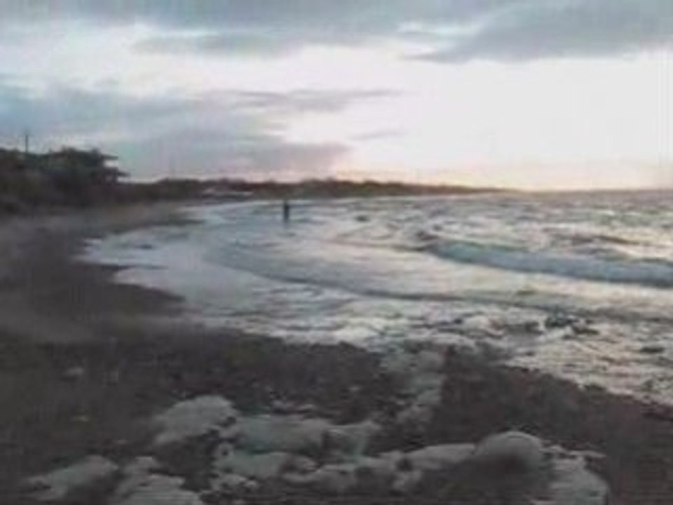 Balık Sevdam Levrek Team www.baliksevdam.com