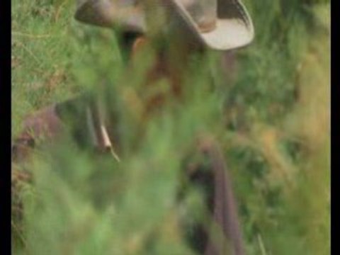 المملكة المغربية Royaume du Maroc