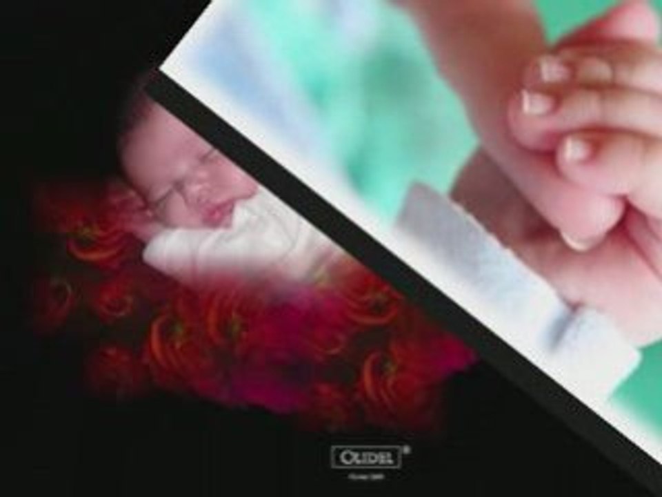 L'Envol des Anges 1