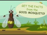 How is Malaria transmitted, facts and tips