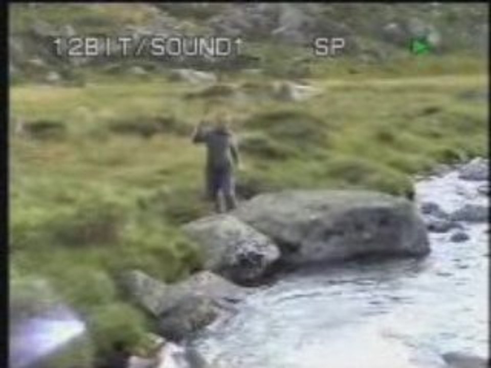 Video espingo