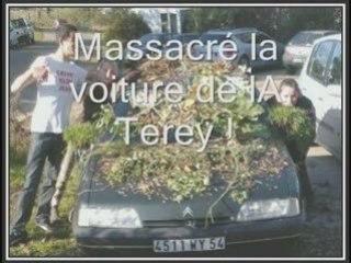 La vie des moules <3