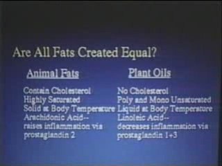 Food that kills - Part 2