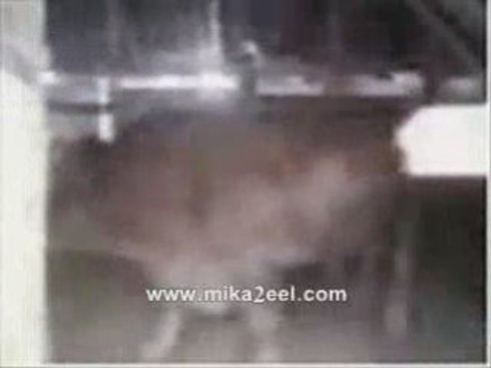 Miracle - La vache qui dit Allah