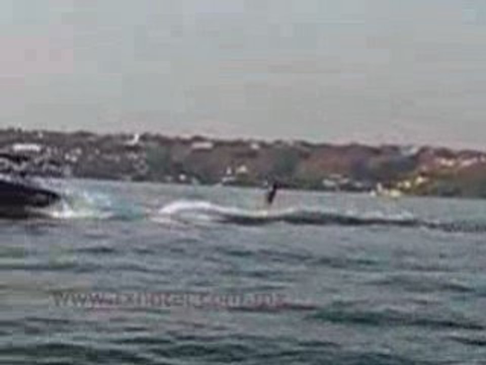 hoteles-en-tequesquitengo-tx-hotel-lancha