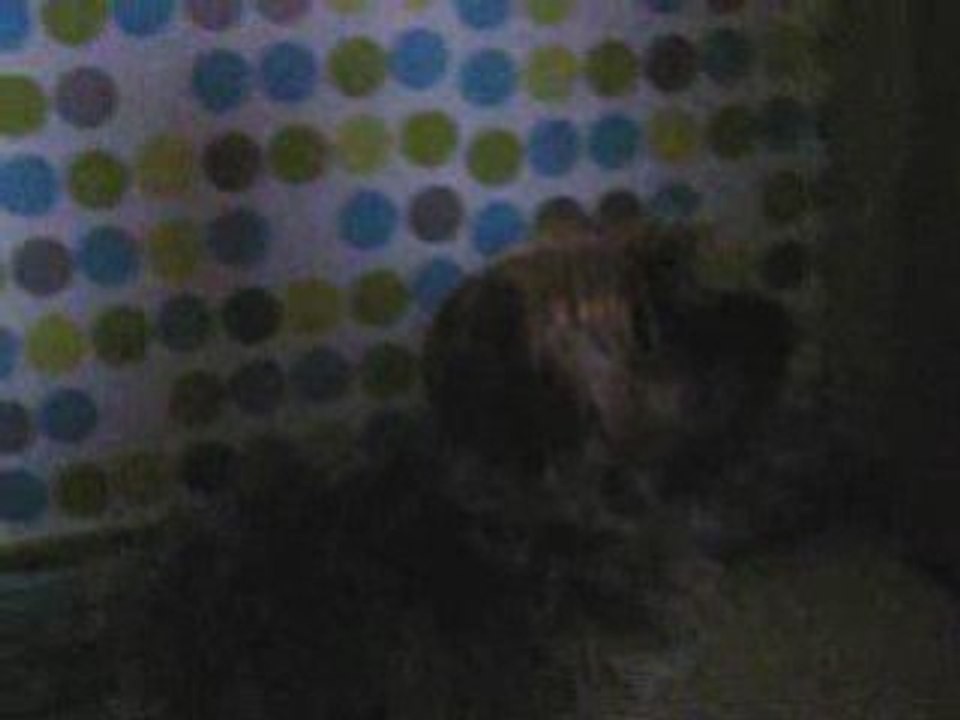 Mister Crispy Couine =P