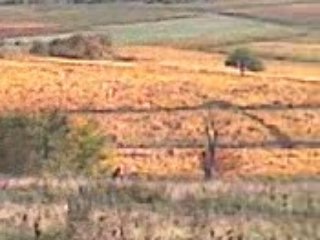 enduro 2 HUSABERG cleanmotorbike SPECIALE Pylon StMau 10-08