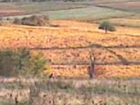 enduro 2 HUSABERG cleanmotorbike SPECIALE Pylon StMau 10-08