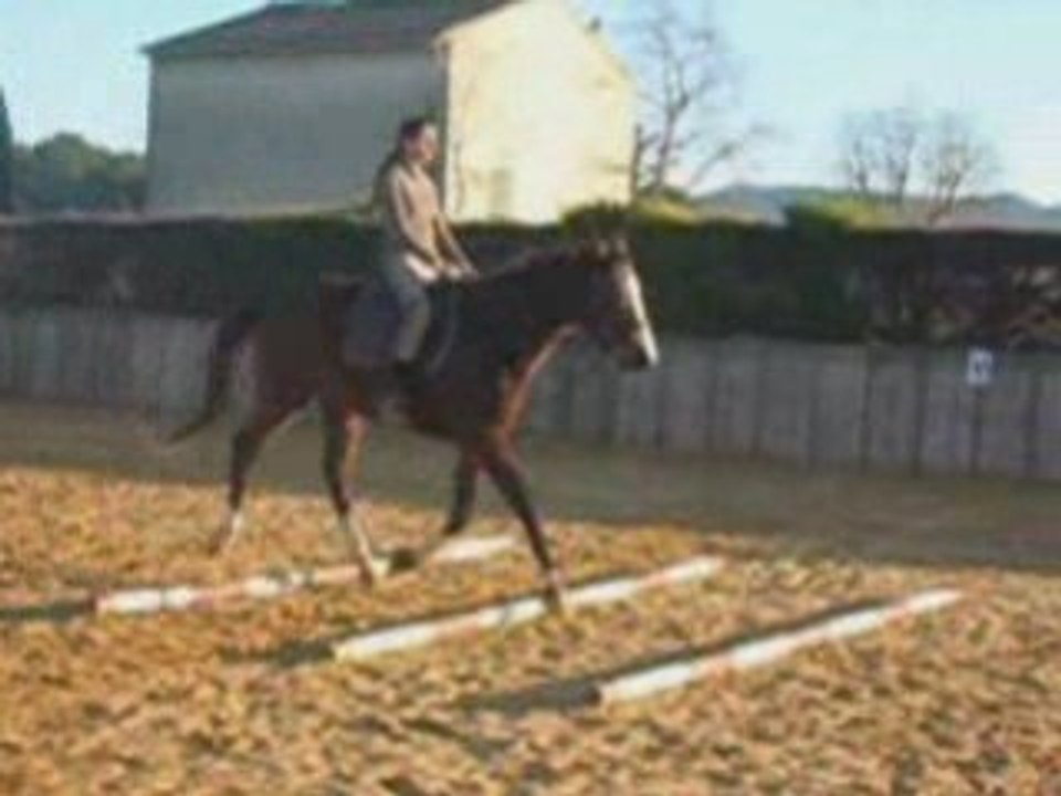 25janvier_barres_au_sol