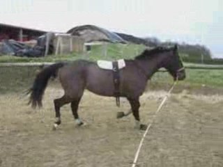 Longe philou 25/01/09