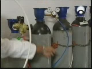 Morir sin dolor: Nitrogeno y argon