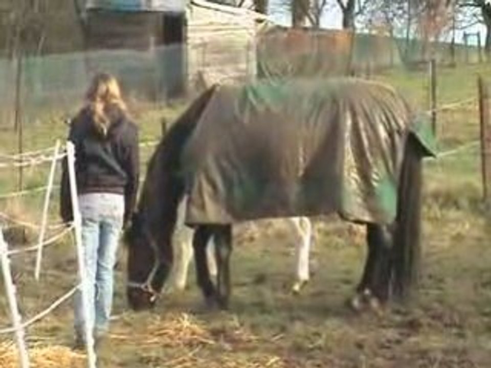 Les foufou