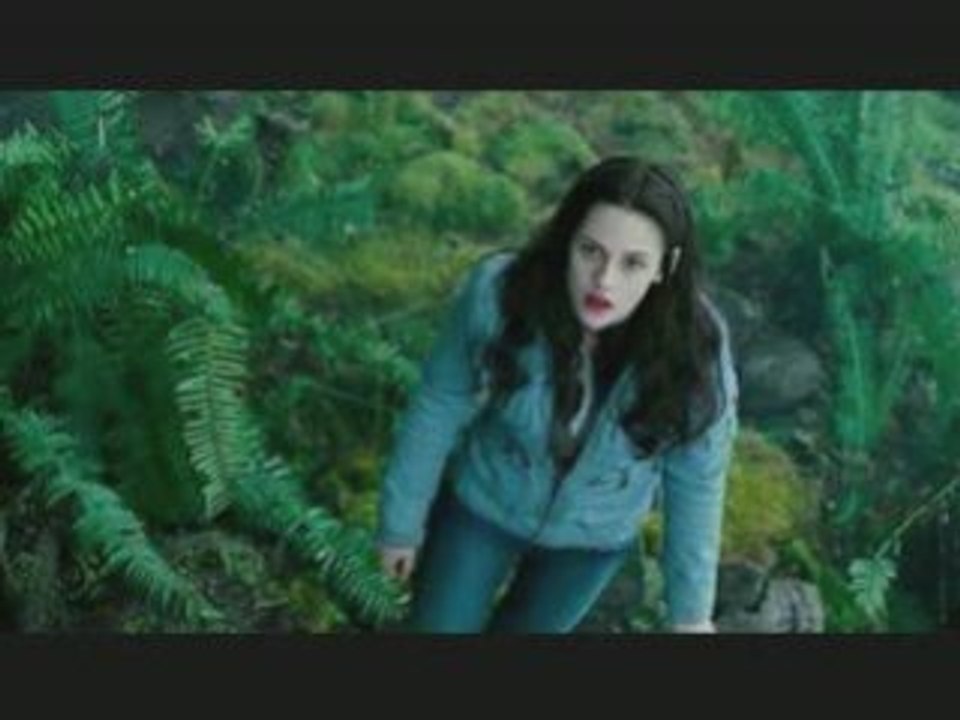 Twilight - Fascination