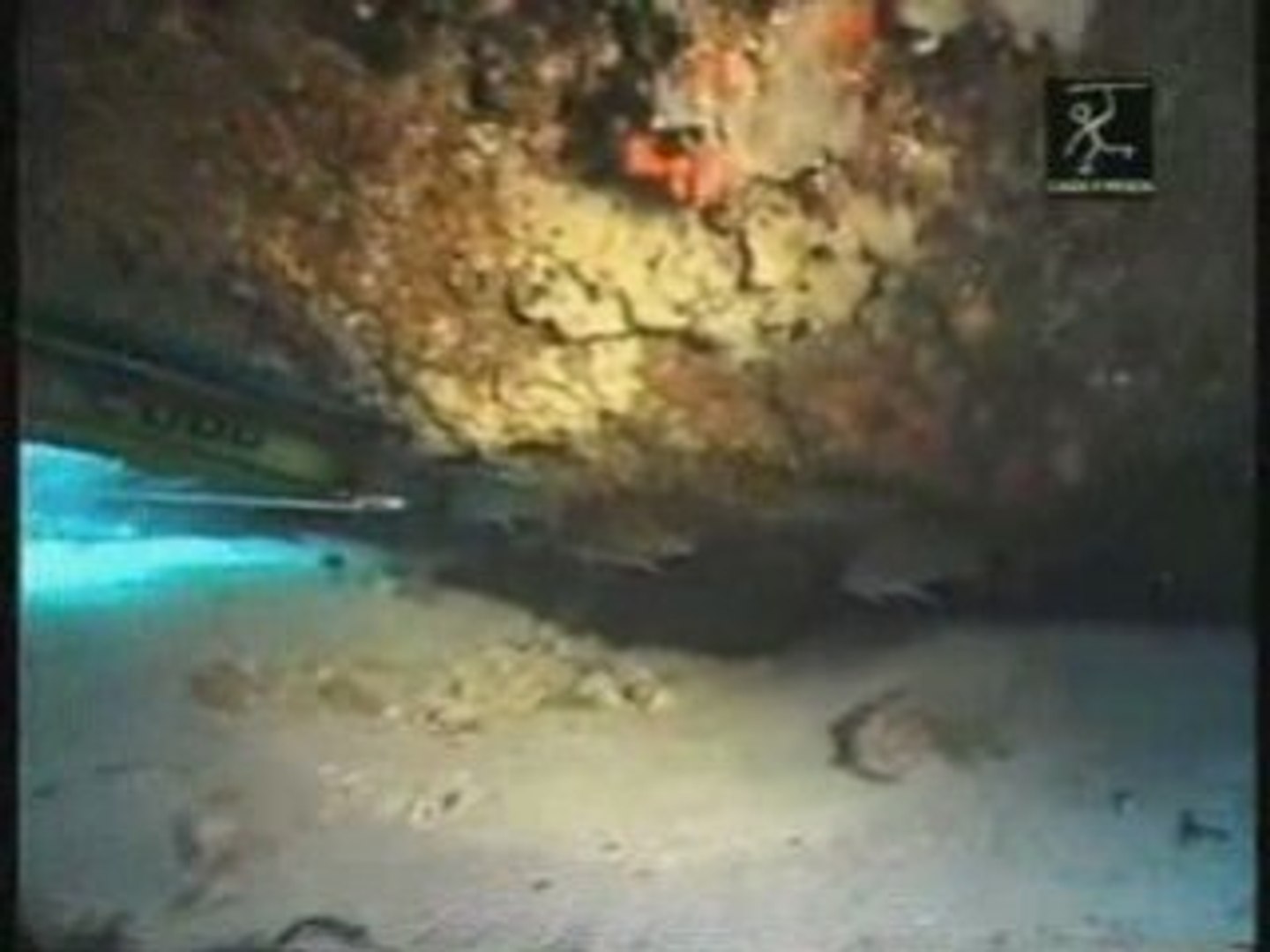 underwater fishing