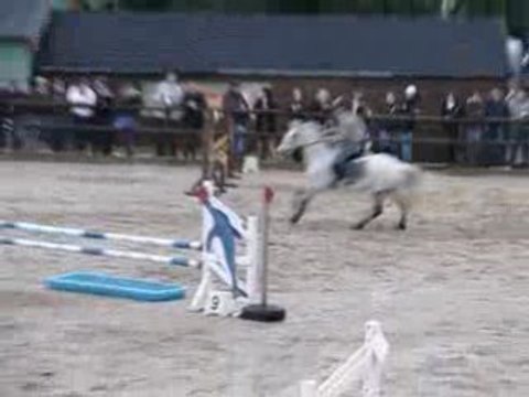 équitation cso guilers Loustic et camille