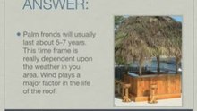 How to Build a Tiki Bar : Palm Fronds