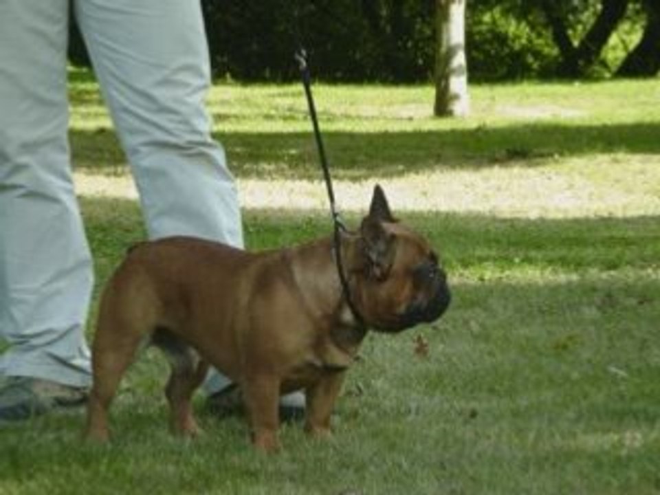 Mon titi_0001