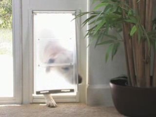 DoggieDoors - Petsafe Pet Doors For Your Dog or Cat
