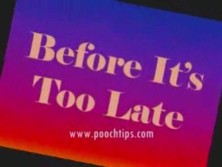 Dogs: This Could Kill Your Dog 2A