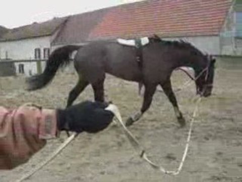 Longe philou 25/01/09 (4)