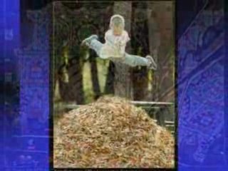 Beautiful nature pics montage on music