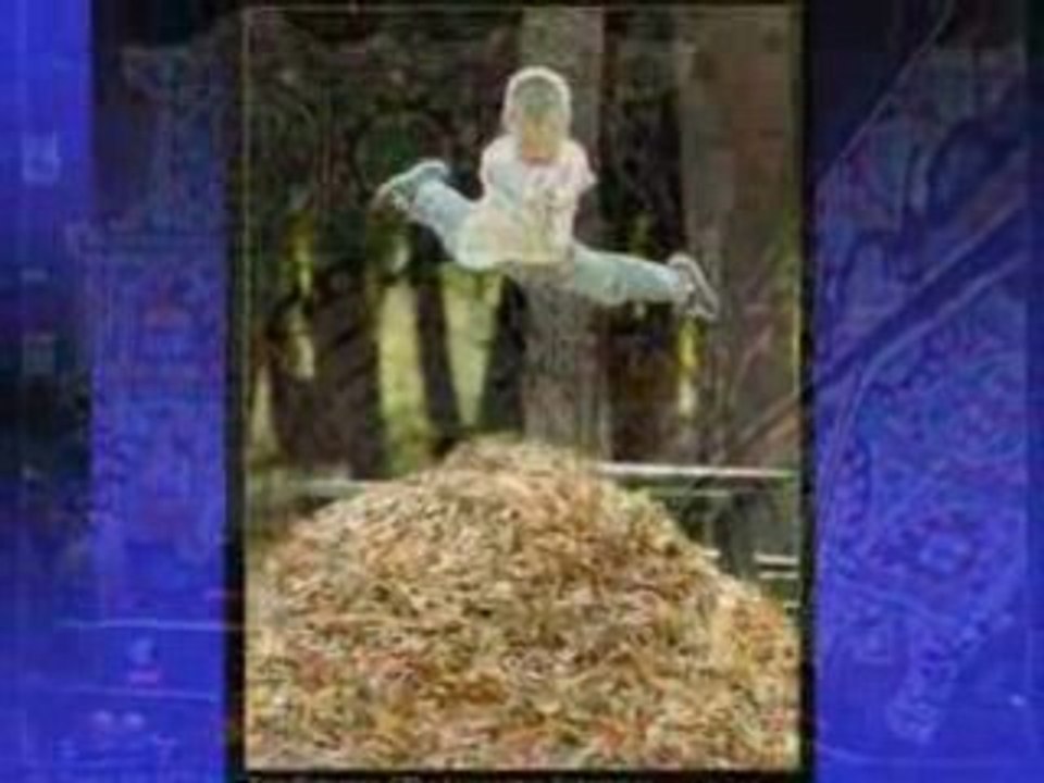 Beautiful nature pics montage on music