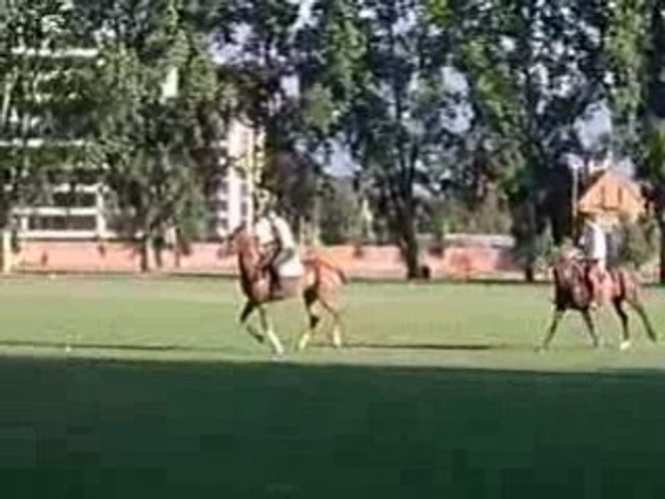 entrainement polo2