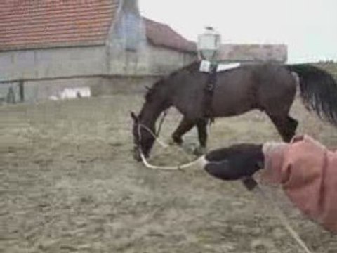 Longe philou 25/01/09