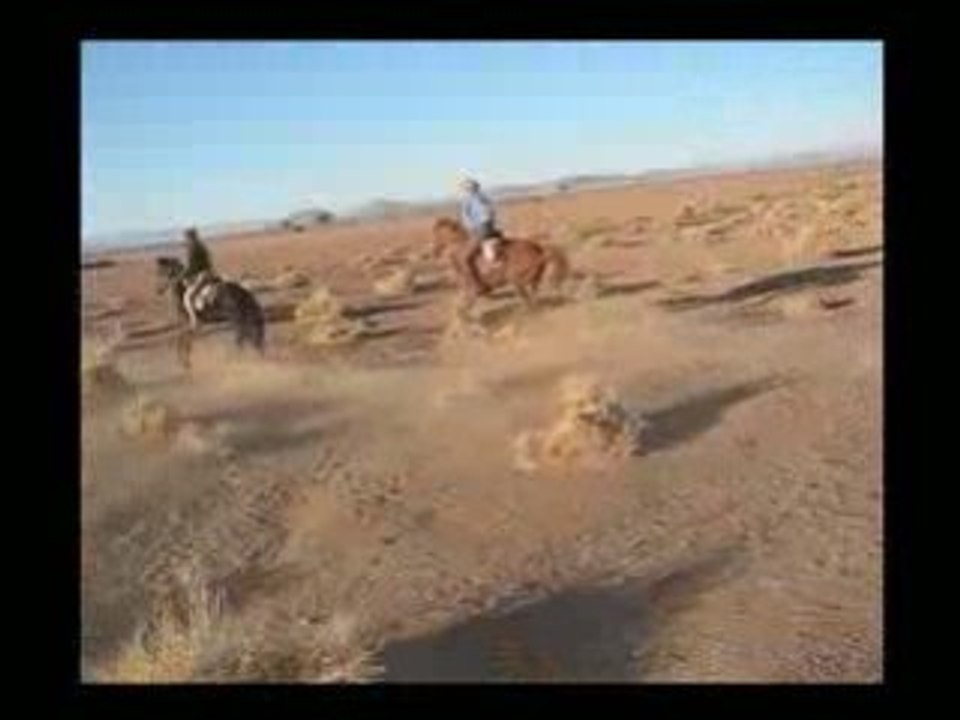 Grand Galop au Maroc