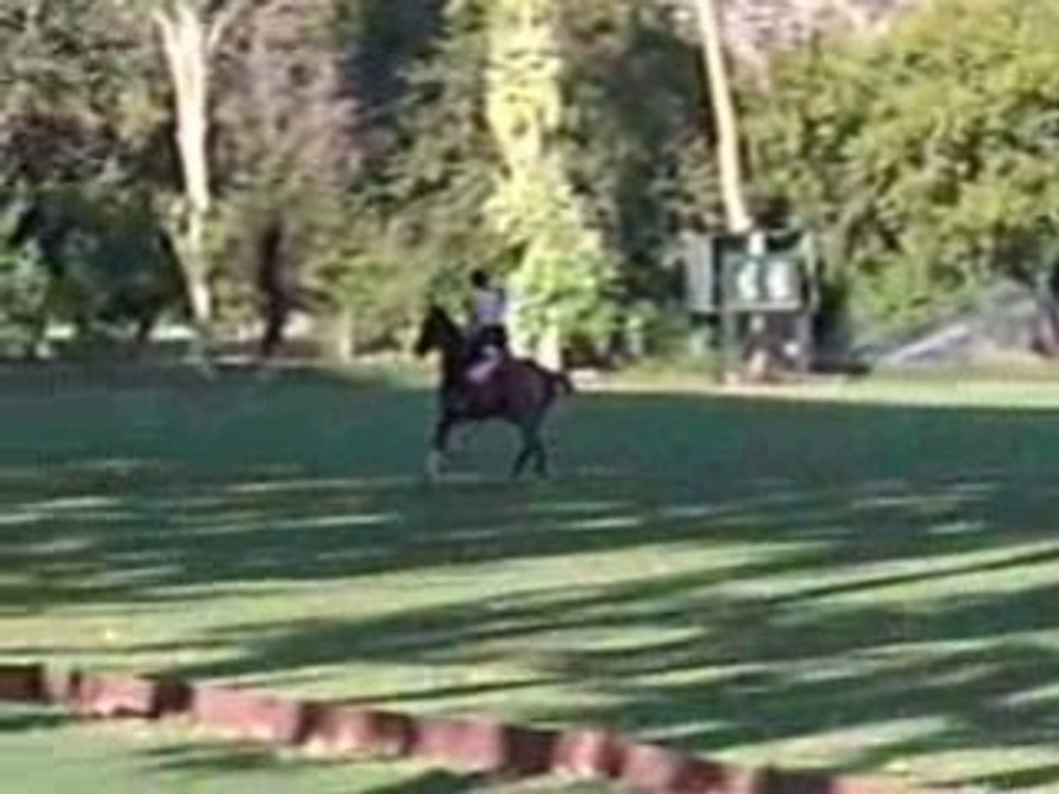 entrainement polo 4