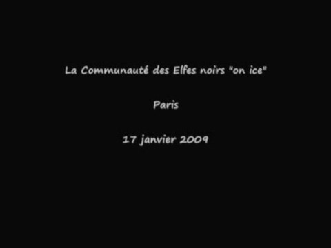 Les Elfes noirs on ice - 17-01-2009