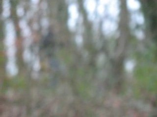 WDA bataille du 25 1